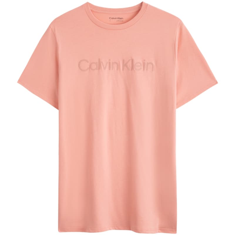 Футболка CALVIN KLEIN LogoT - изображение 1