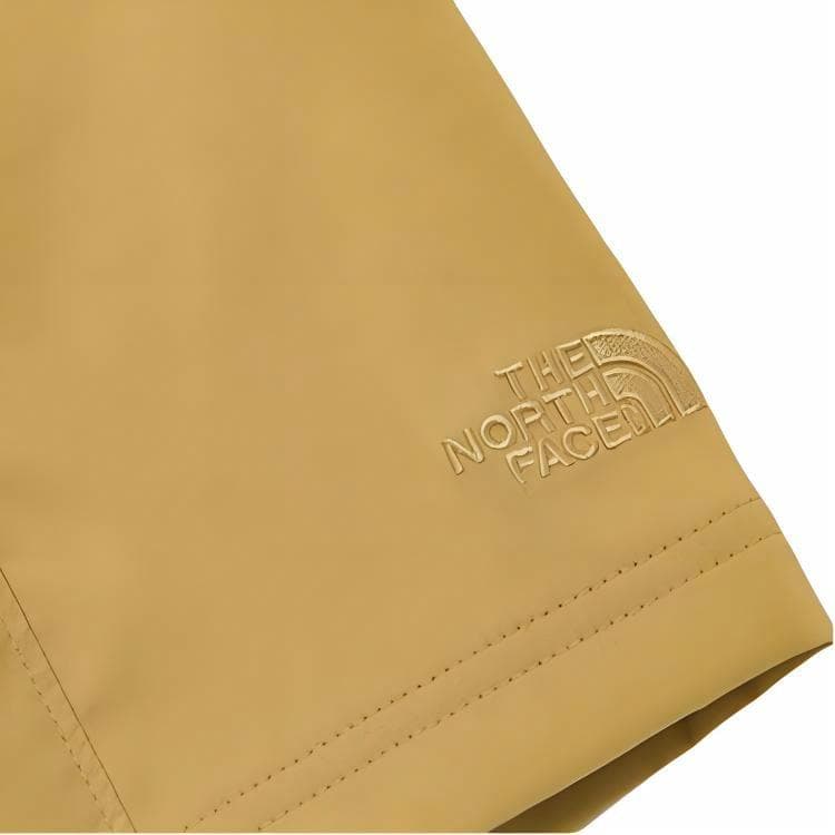 Тренировочные штаны THE NORTH FACE SS22 - изображение 4