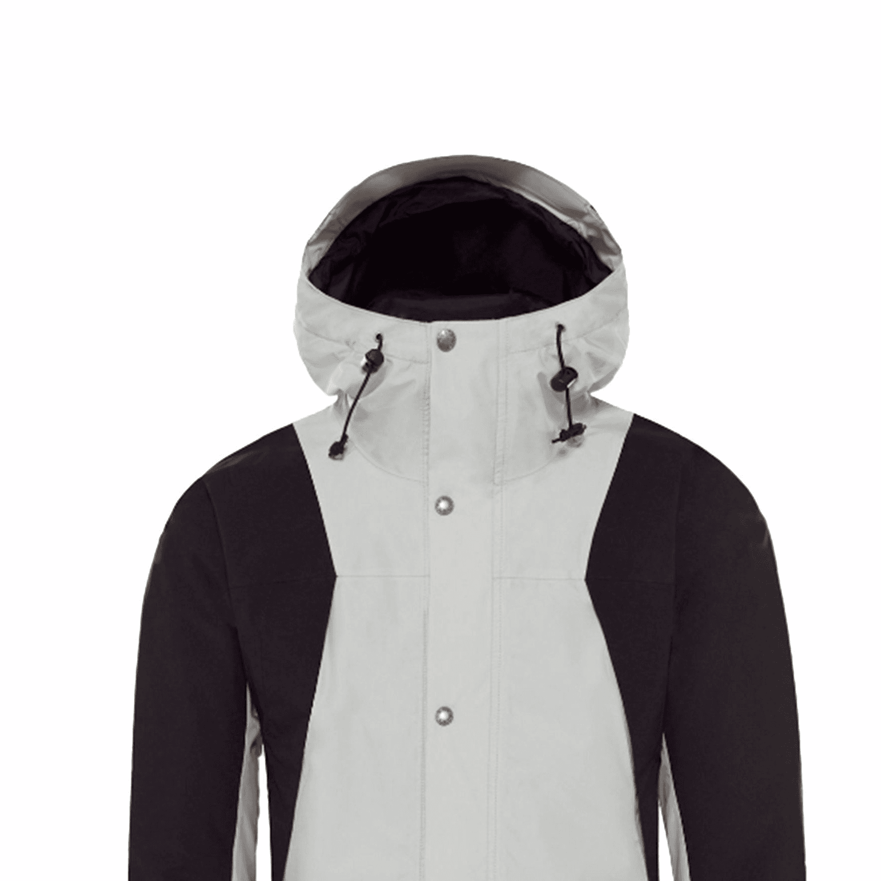 Куртка THE NORTH FACE 1994 Retro Mountain Light Gtx Jacket - изображение 3