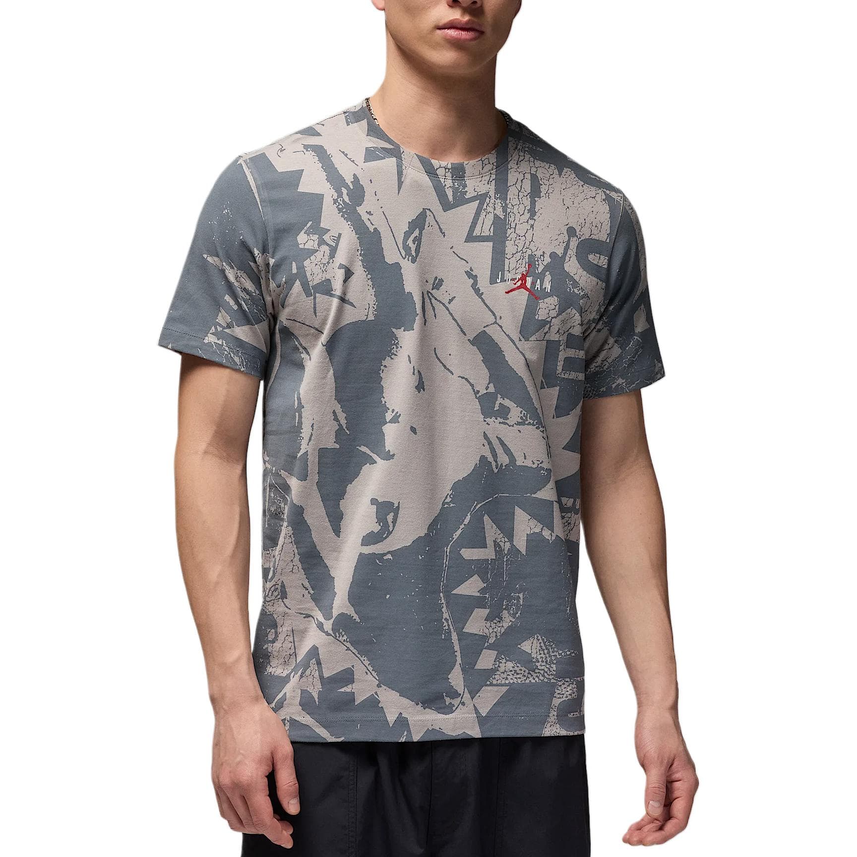 Футболка Jordan Apparel Серый Мужской T-Рубашки - изображение 1