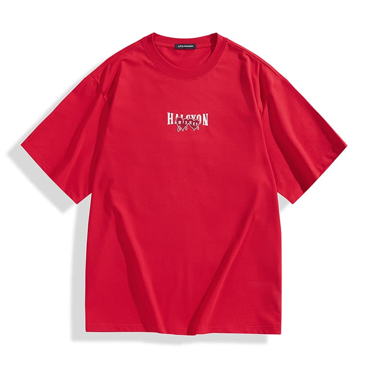 Футболка PEACEBIRD MEN T - изображение 1