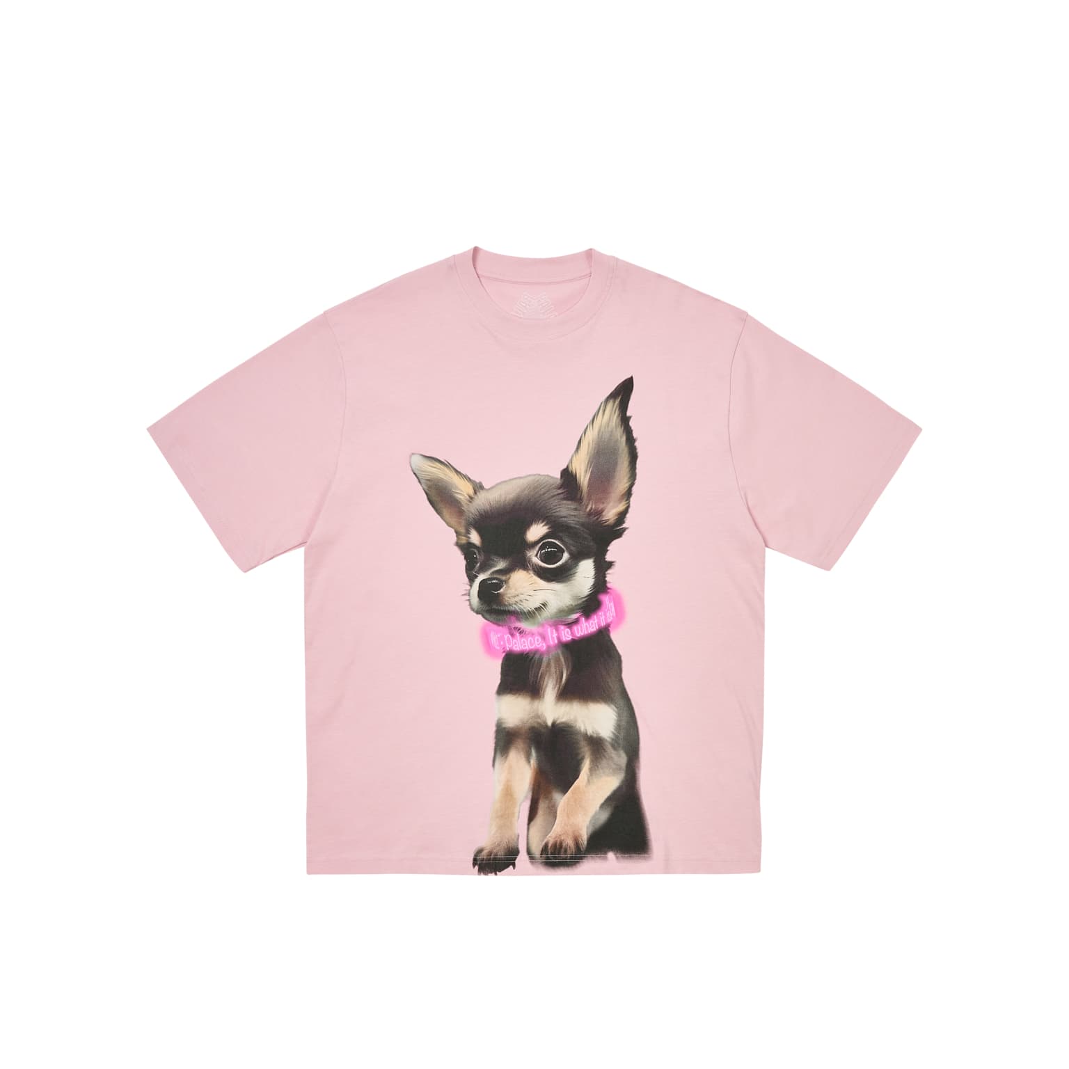 Футболка Дворцовый SS25 YAPPY T Рубашка T Рубашка Унисекс - изображение 1