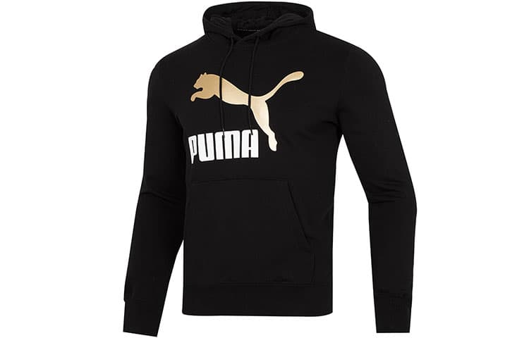 Худи Puma Classics Metallic Logo Hoodie TR Logo - изображение 1