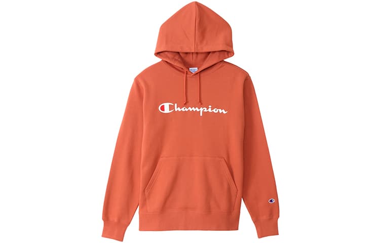 Худи Champion FW21 - изображение 1