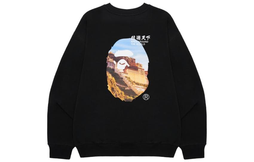 Худи BAPE SS23 - изображение 1