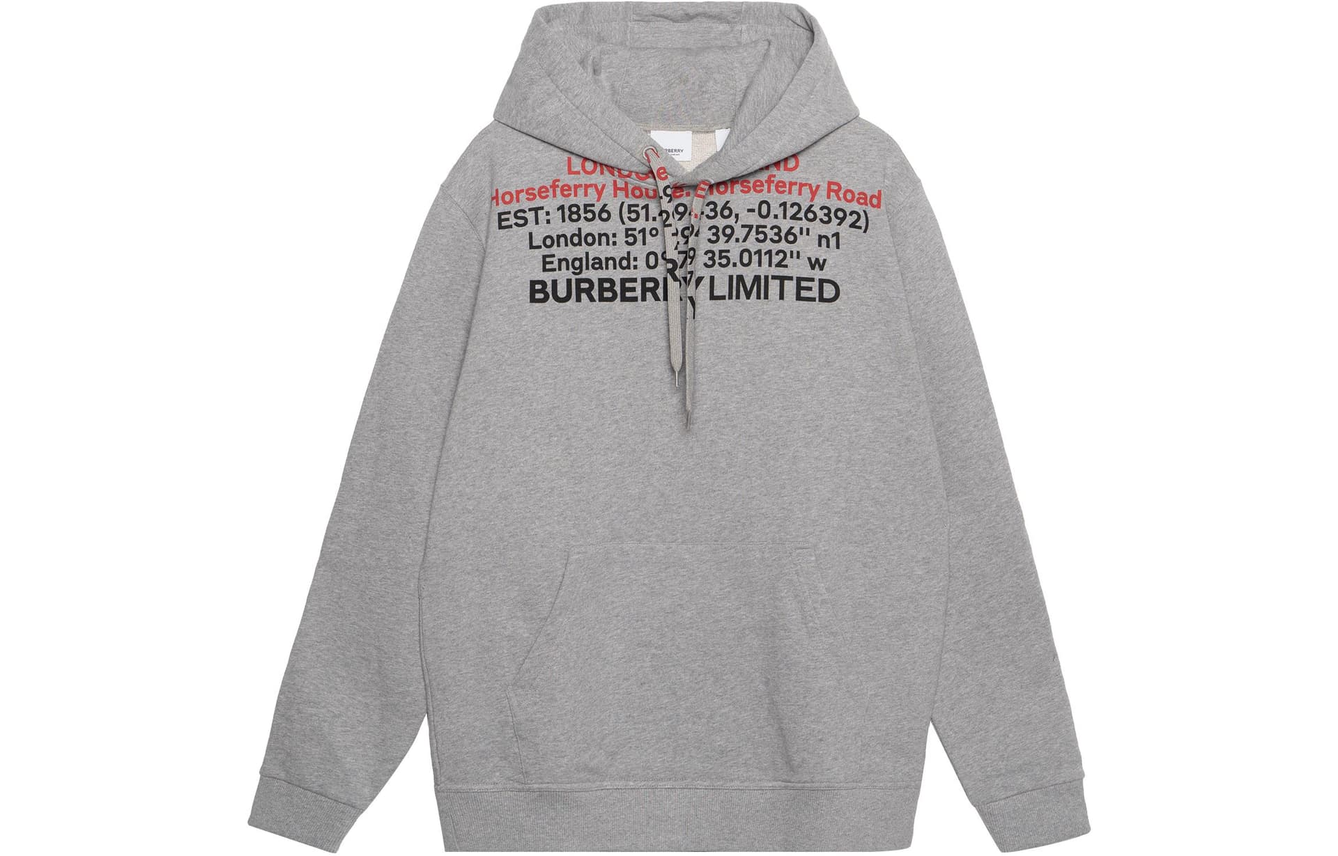 Худи Burberry Logo - изображение 1