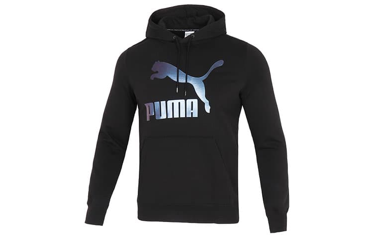 Худи Puma Classics Metallic Logo Hoodie TR Logo - изображение 1