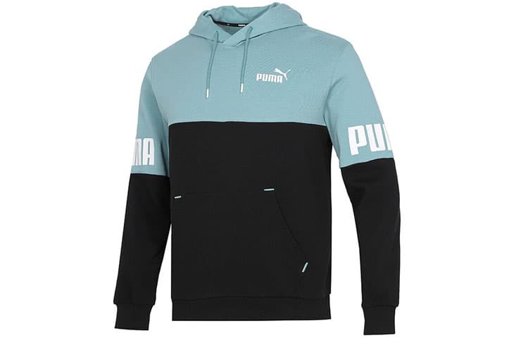 Худи Puma Power Logo - изображение 1