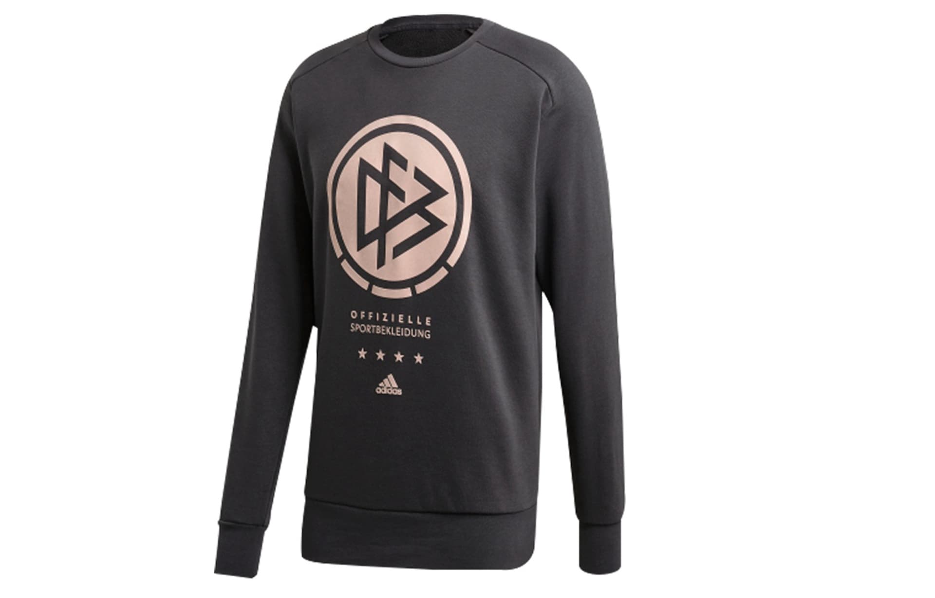 Худи adidas Dfb Ssp Cr Swt Logo - изображение 1