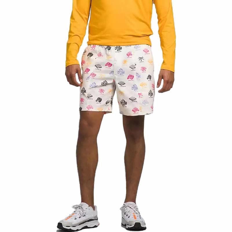 Шорты THE NORTH FACE - изображение 3