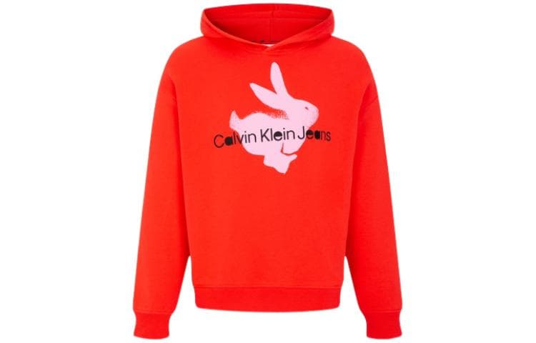 Худи CKCalvin Klein CK Logo - изображение 1