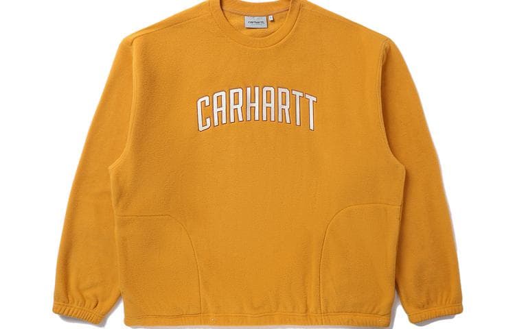 Худи Carhartt WIP FW22 Logo - изображение 1