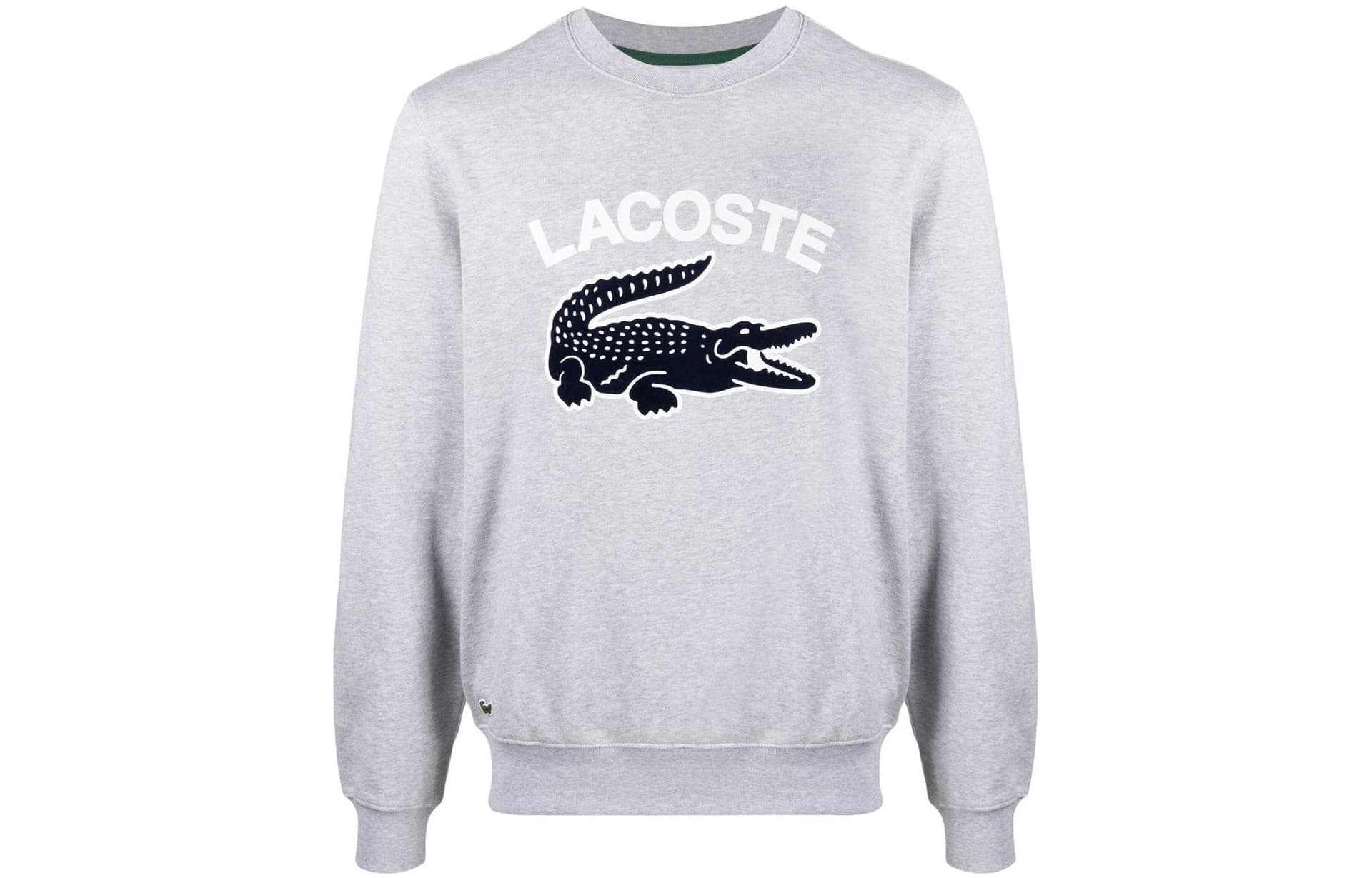 Худи LACOSTE FW22 Logo - изображение 1
