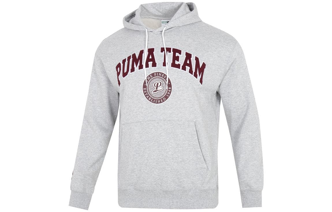 Худи PUMA PUMA WINTERIZED Logo - изображение 1