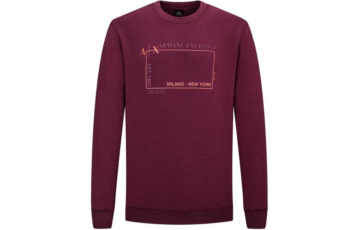 Худи ARMANI EXCHANGE FW22 Logo - изображение 1