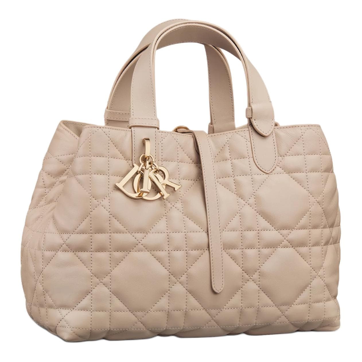 Сумка DIOR Toujours Tote - изображение 4
