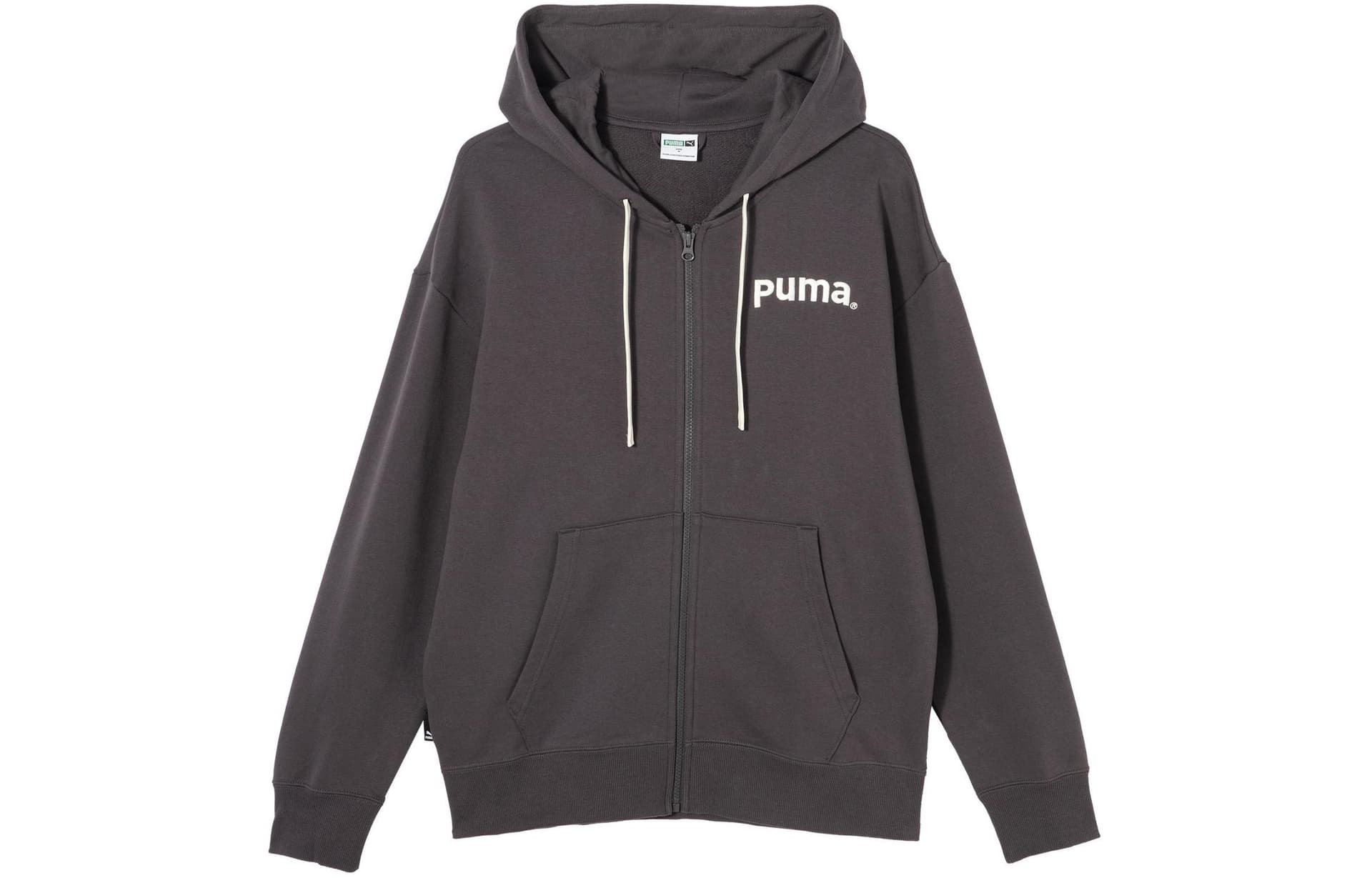 Худи PUMA TEAM FZ HOODIE TR - изображение 1