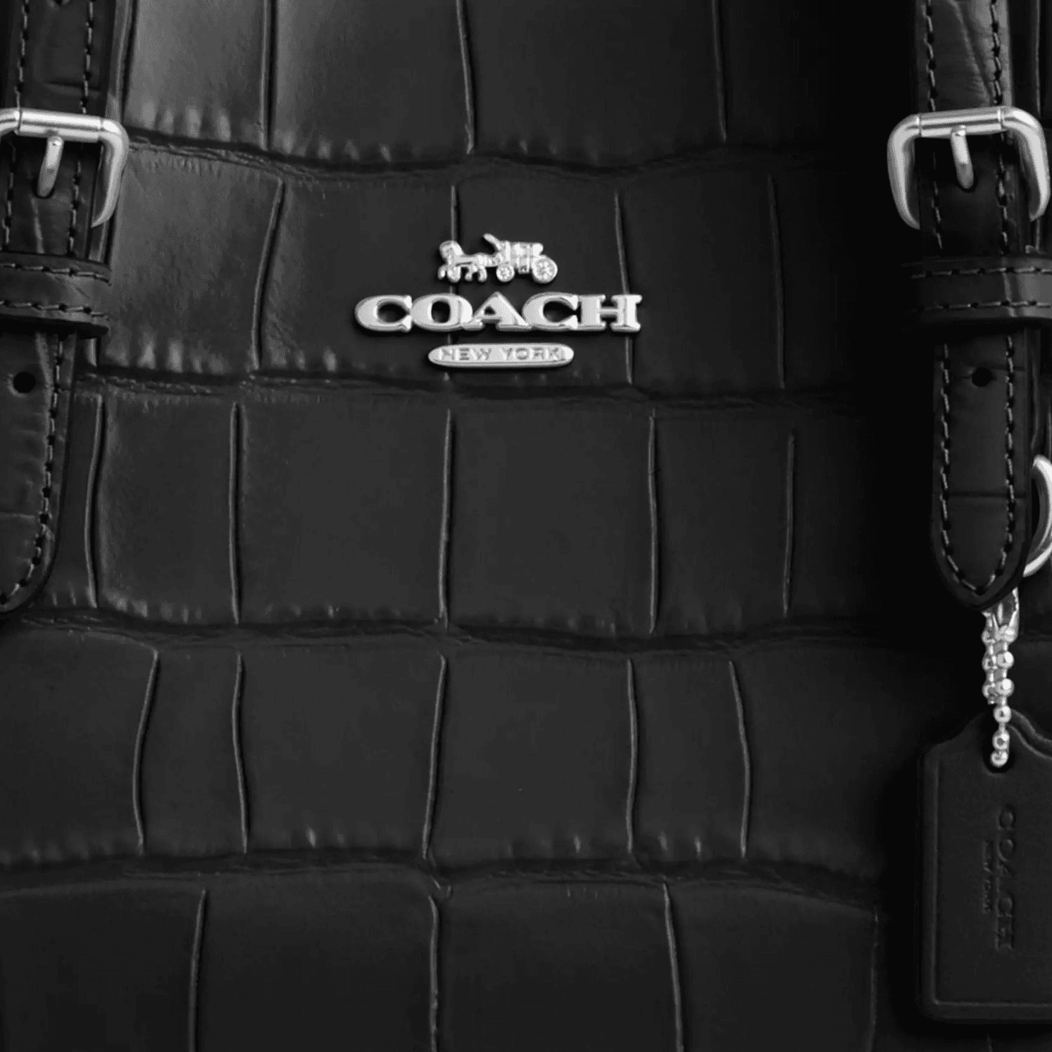 Сумка Coach Mollie Кожа Тоут Через плечо Сумки Средний Женские Черный - изображение 4
