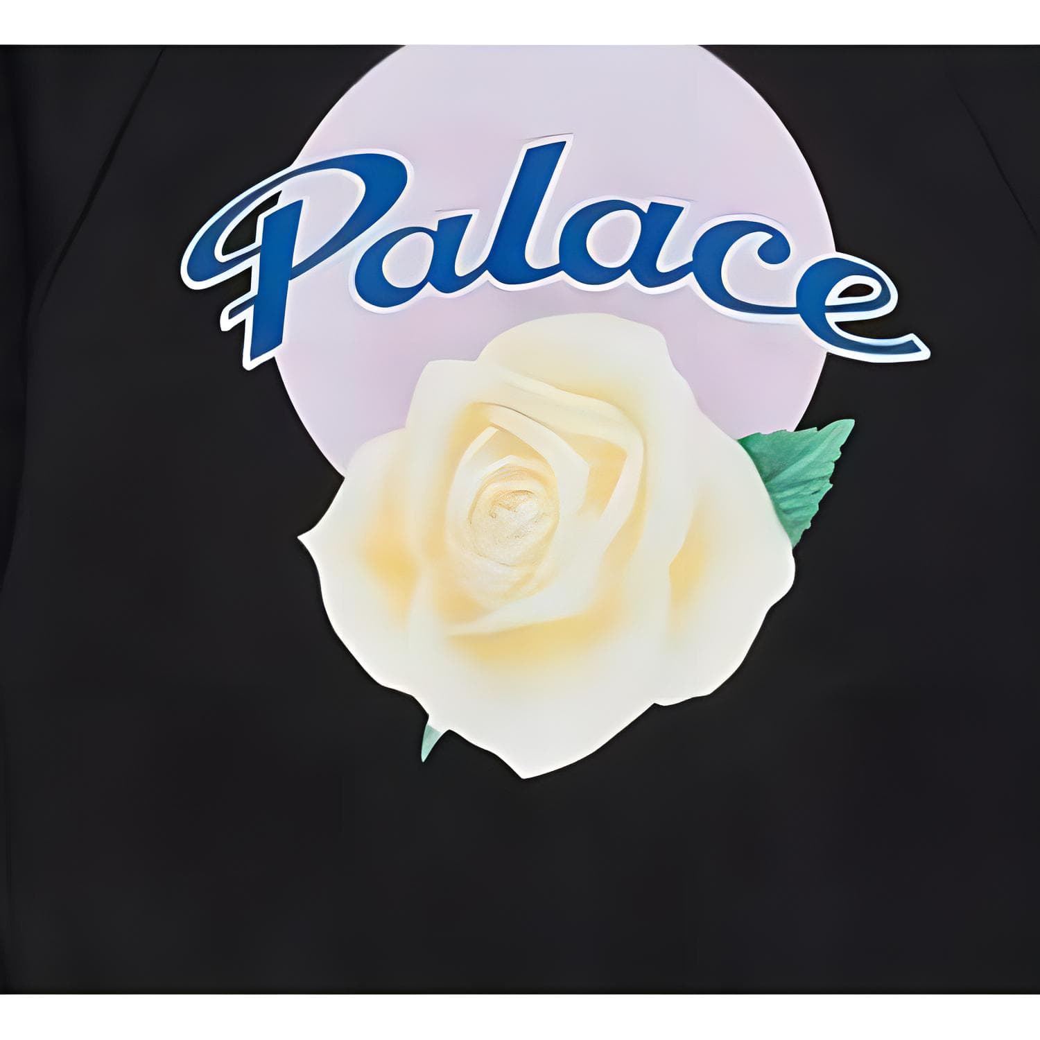 Куртка Y-3 x PALACE FW22 Jacket - изображение 3