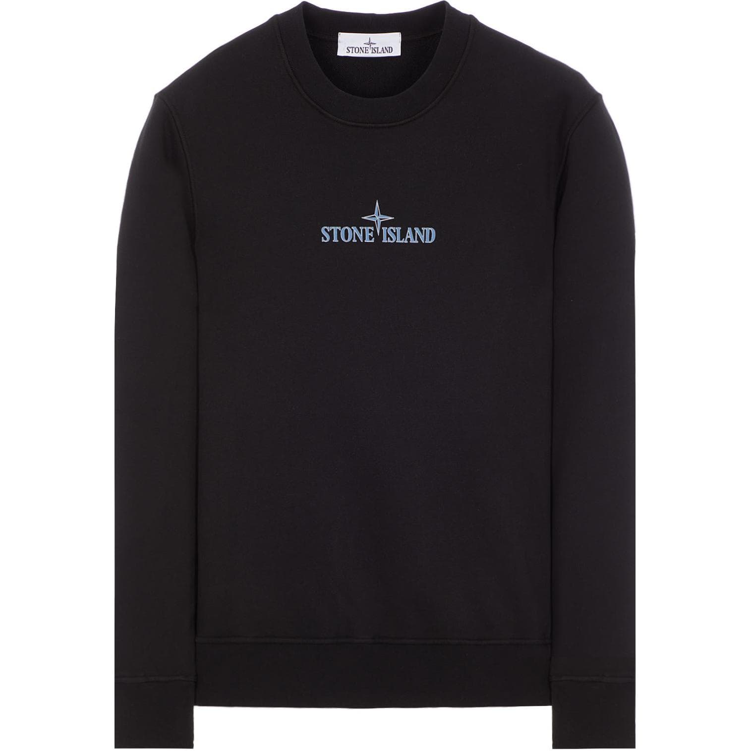 Худи STONE ISLAND 20242025 SS24 LOGO - изображение 1
