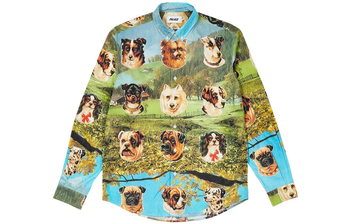 Рубашка PALACE FW22 Place Payne Shirt Multi - изображение 1