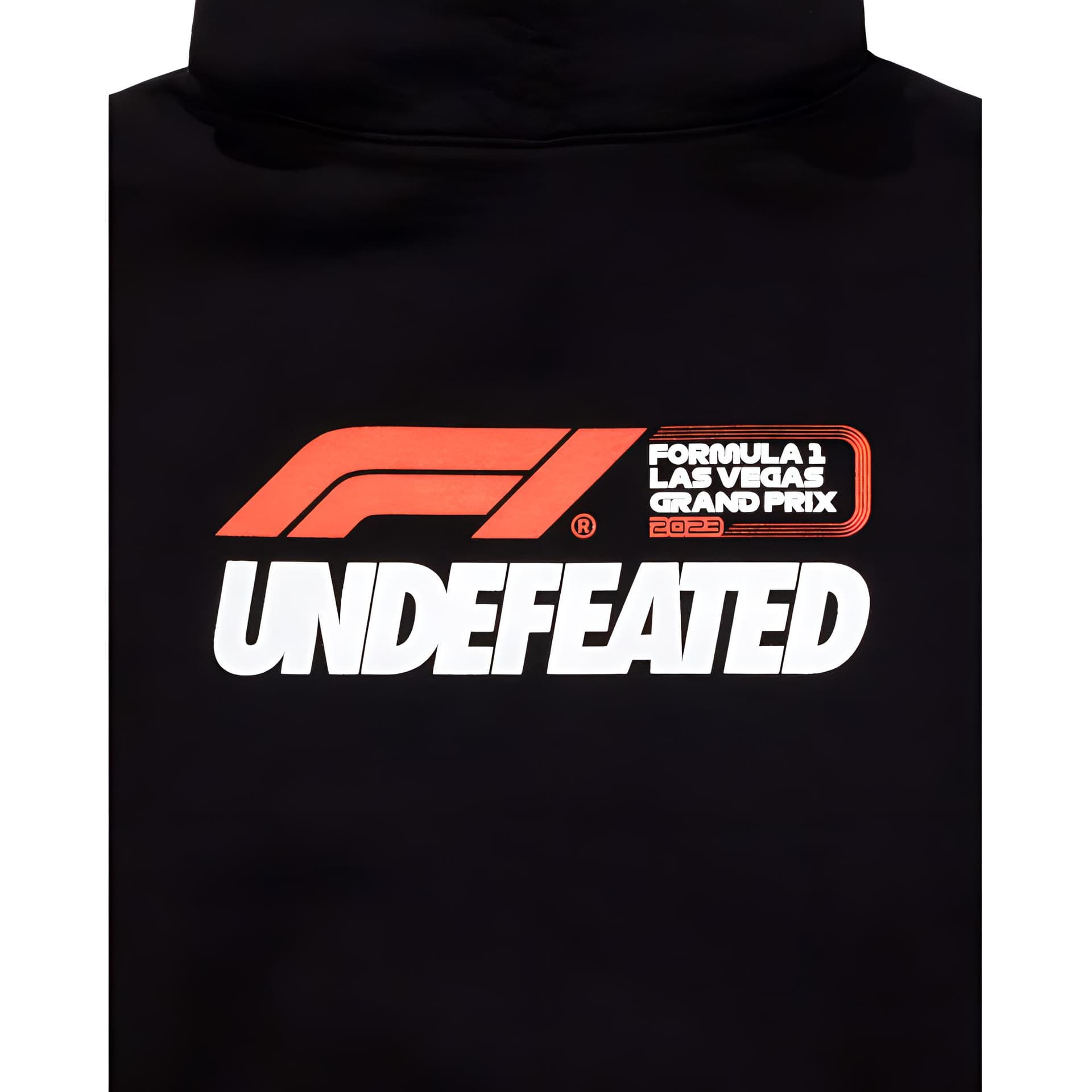 Худи UNDEFEATED x F1 LVGP F1 LVGP Logo - изображение 4