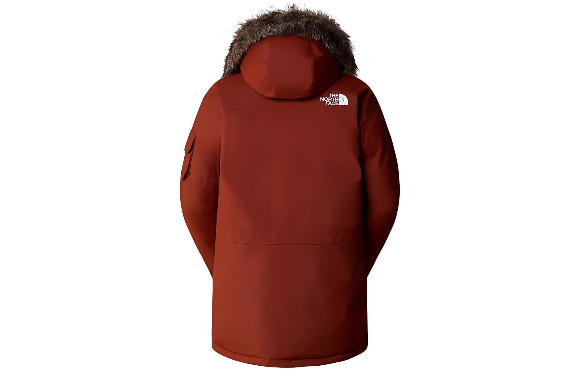 Зимняя куртка THE NORTH FACE Logo - изображение 2
