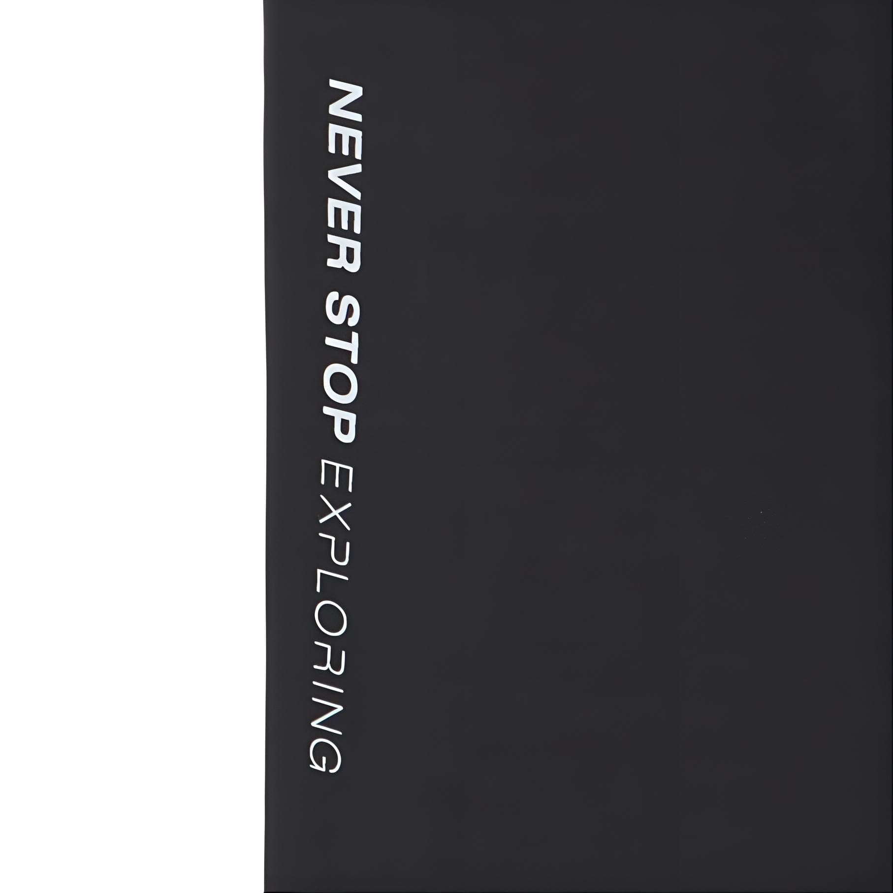 Штаны THE NORTH FACE FW22 Logo - изображение 3