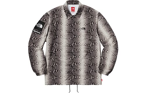 Куртка Supreme x The North Face SS18 Snake Print Jacket - изображение 1