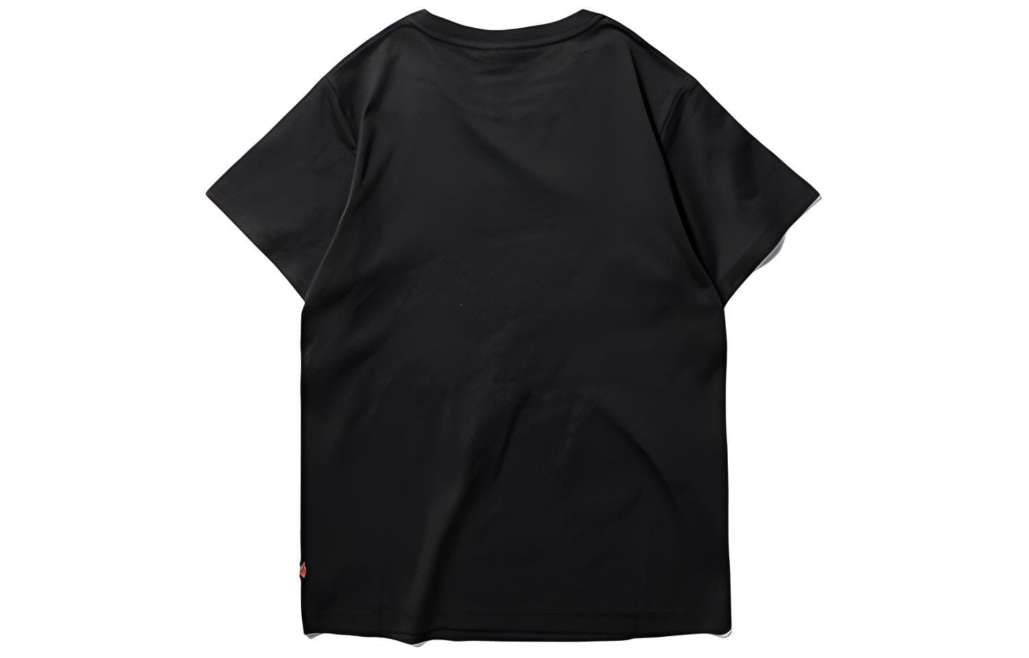 Футболка Dickies LogoT - изображение 2