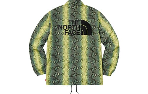 Куртка Supreme x The North Face Snake Print Jacket Green - изображение 1