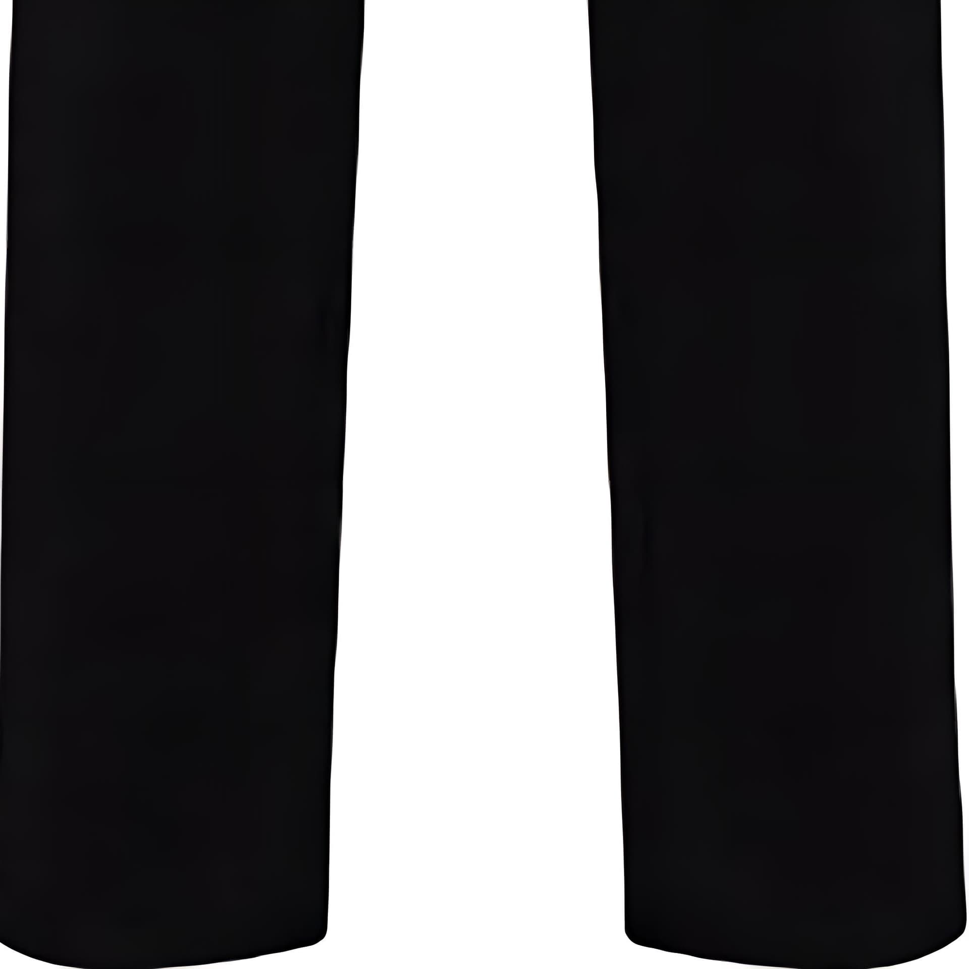 Штаны Balenciaga - изображение 4