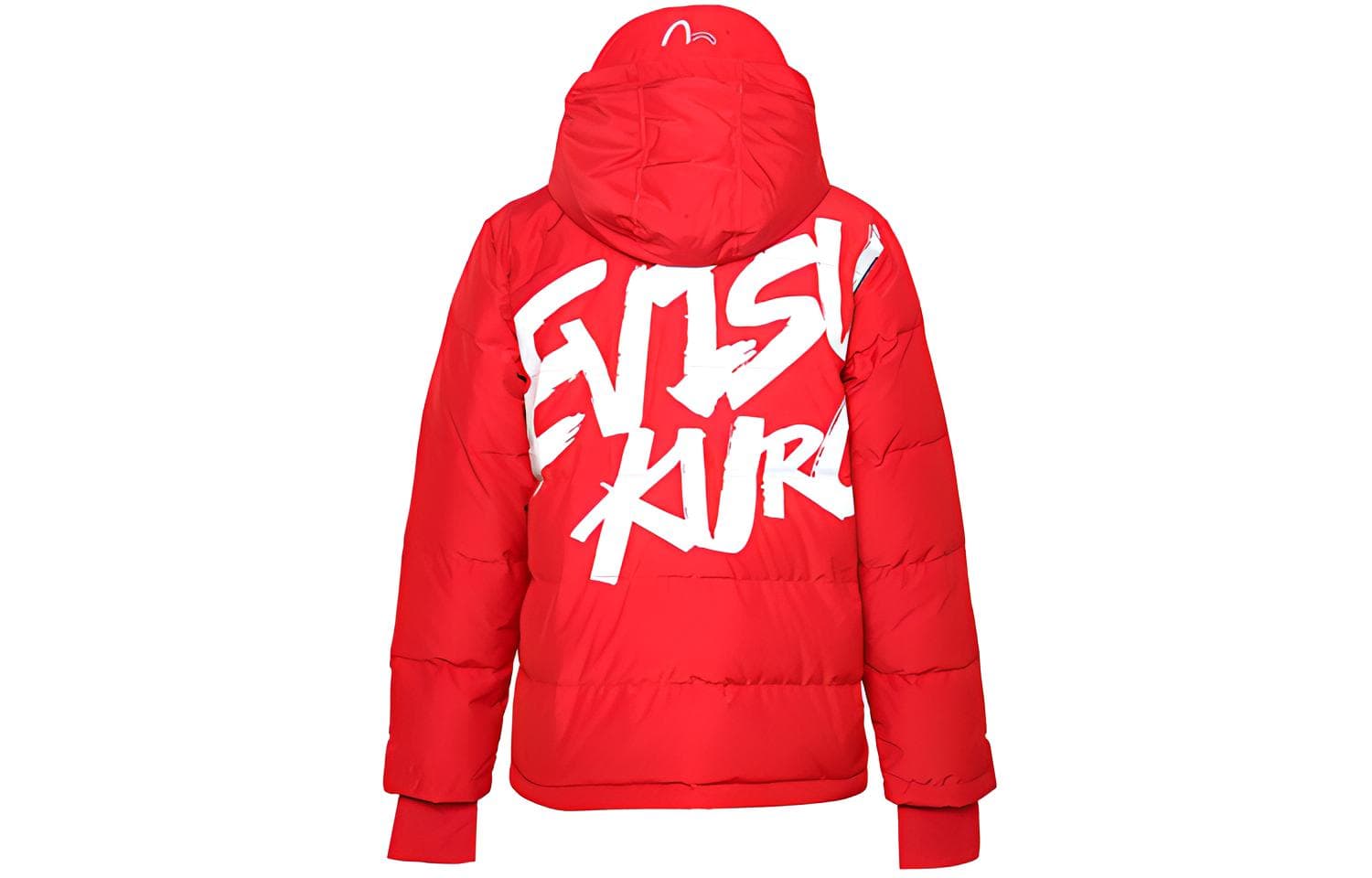 Зимняя куртка EVISU - изображение 2