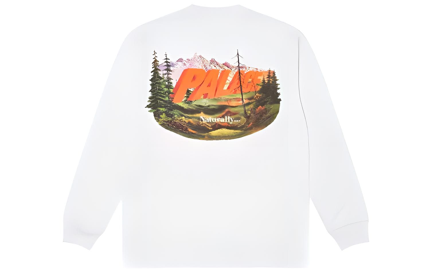 Худи PALACE FW21 Chapping Longgsleeve WhiteT - изображение 2