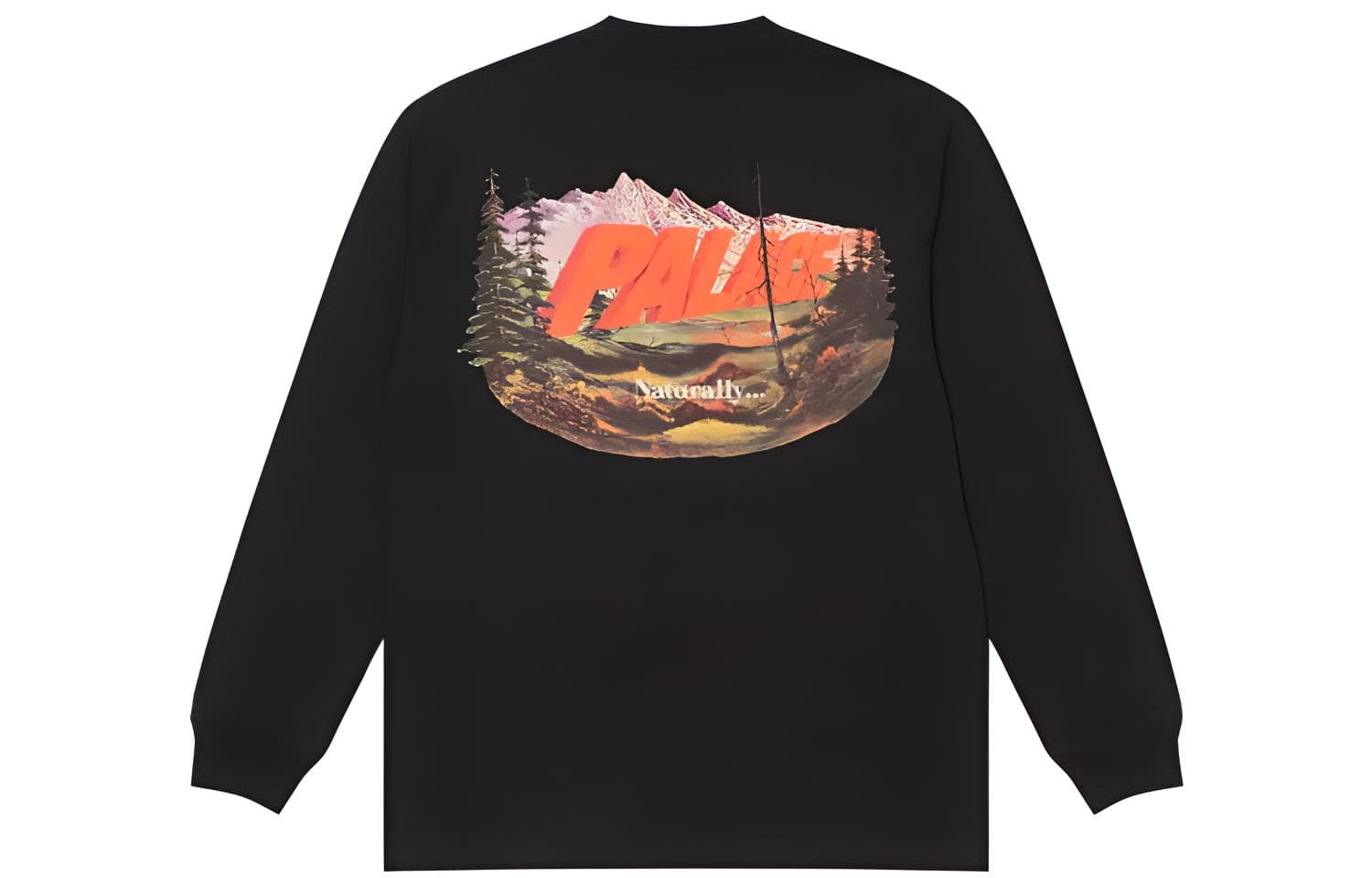 Кофта PALACE FW21 Chapping Long Sleeve Black T - изображение 1