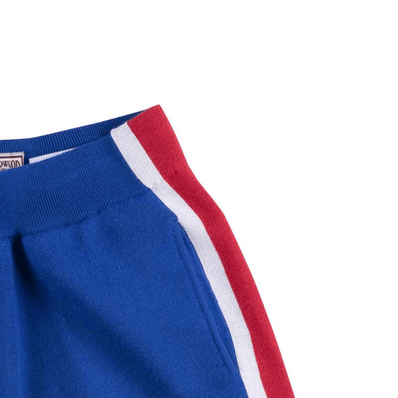 Баскетбольные шорты Mitchell & Ness x CLOT Retro Shorts - изображение 3