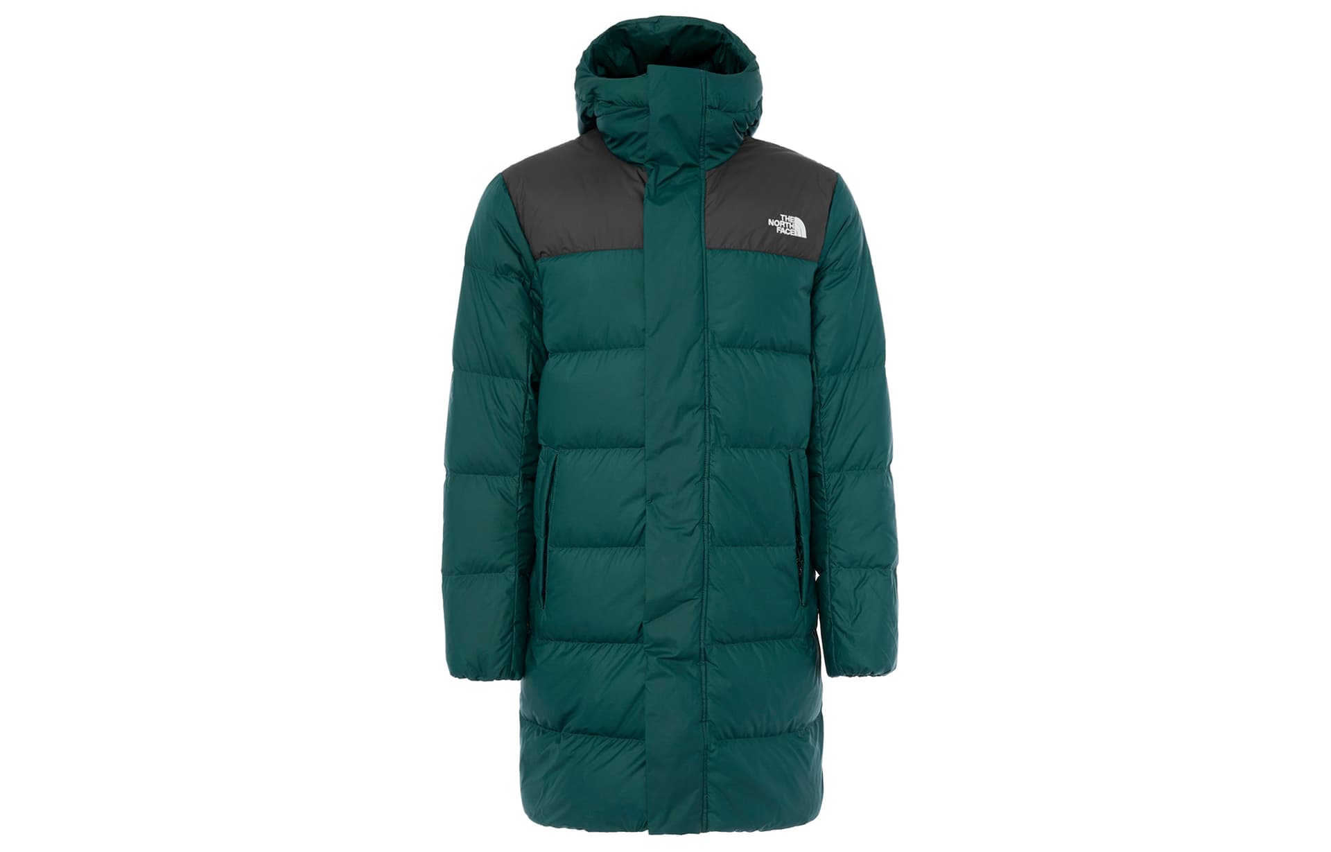 Зимняя куртка THE NORTH FACE Logo - изображение 1