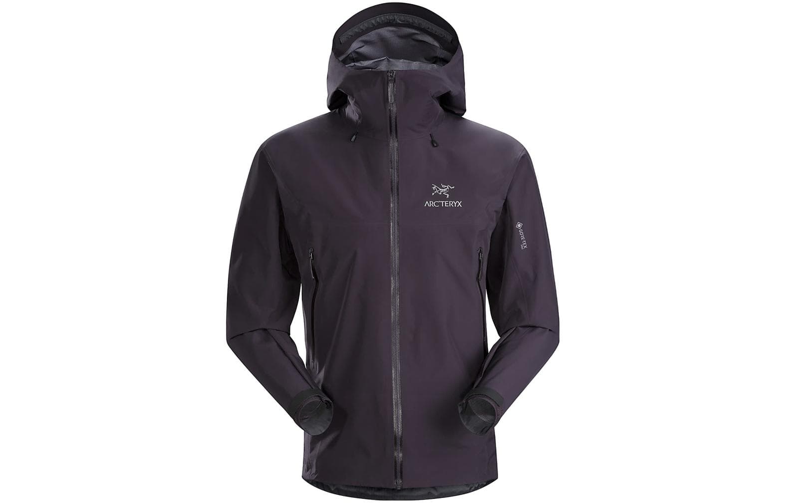 Куртка Arcteryx Beta Beta lt Logo - изображение 1