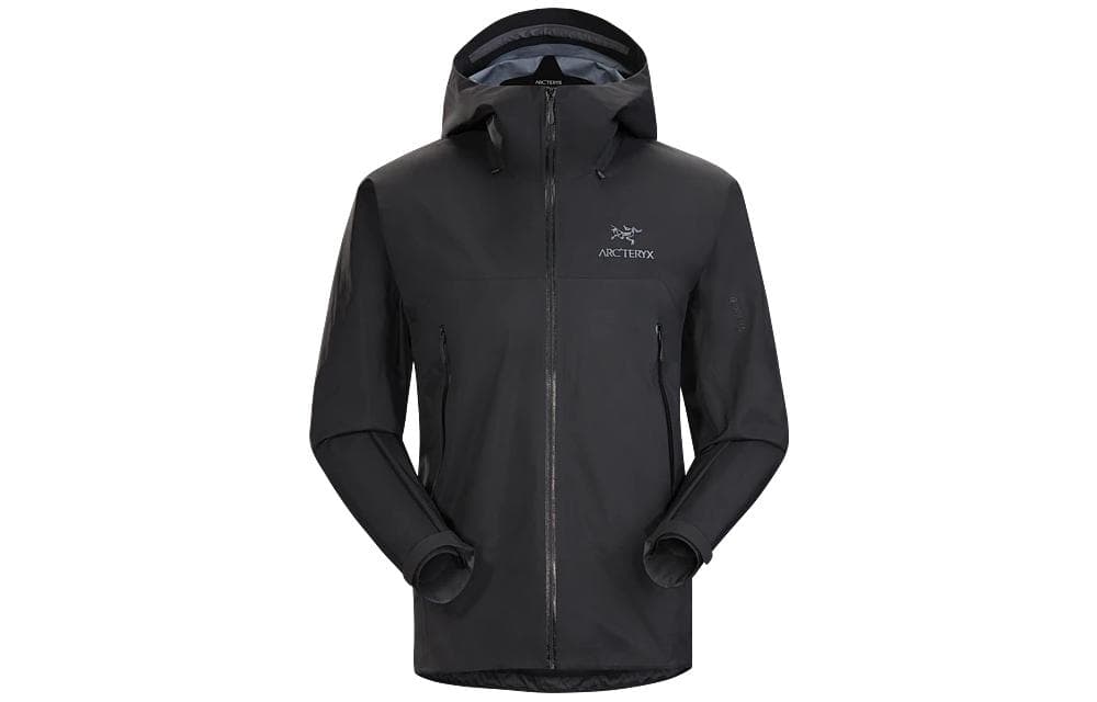 Демисезонная куртка Arcteryx Beta Fl Logo - изображение 1