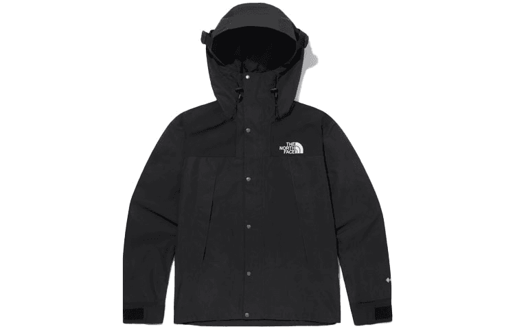 Куртка The North Face Eco Gtx Logo Jacket - изображение 1