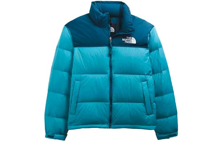 Зимняя куртка THE NORTH FACE 1996 Logo700 - изображение 1