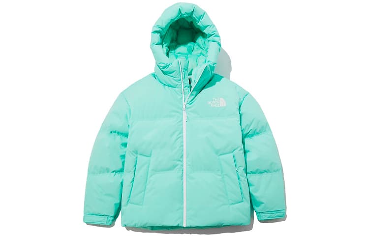 Зимняя куртка THE NORTH FACE 1996 Nuptse eco Logo - изображение 1