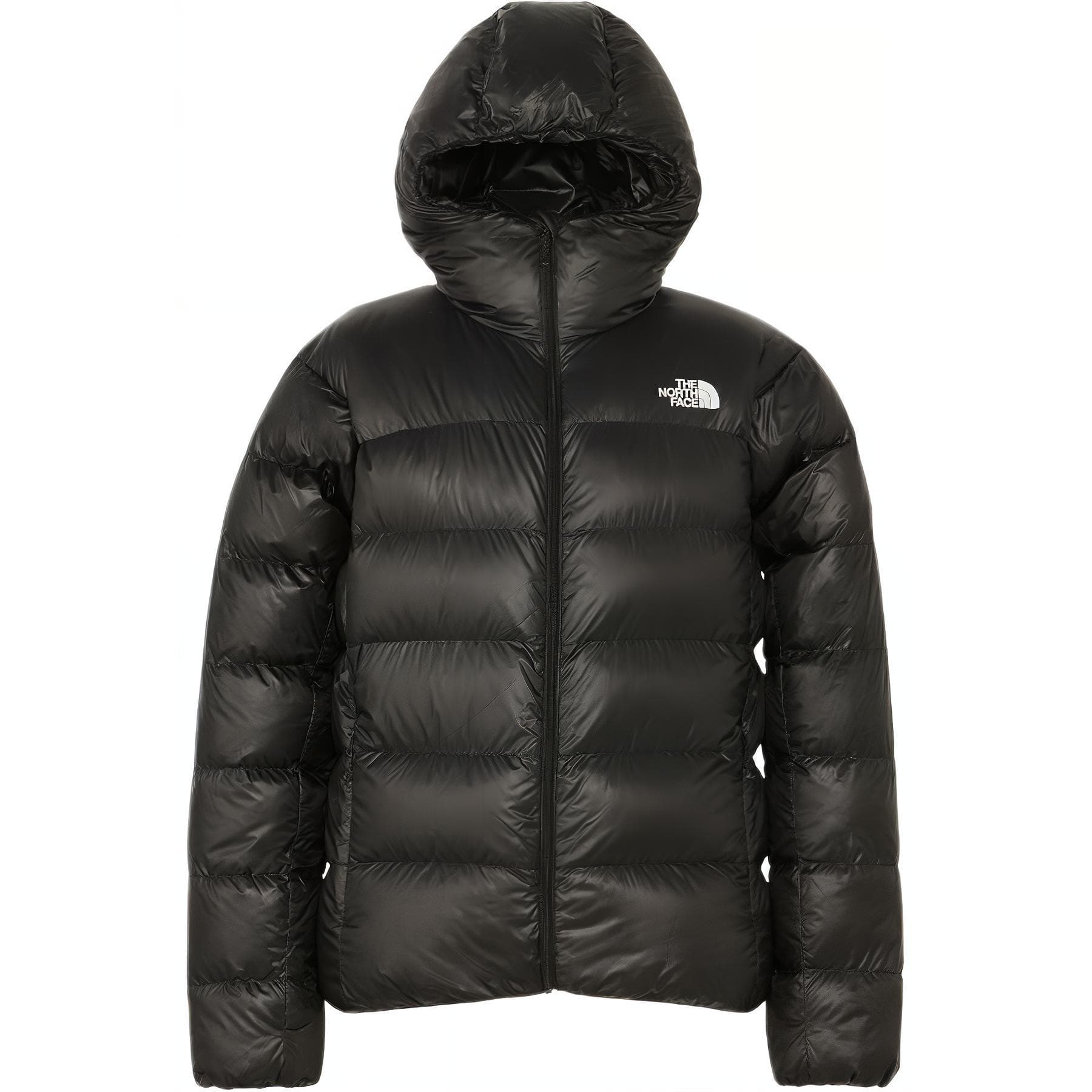 Зимняя куртка THE NORTH FACE Logo - изображение 1