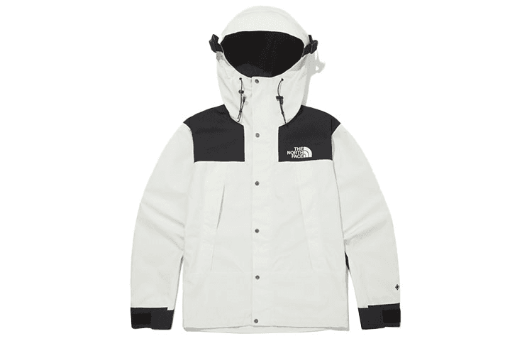 Демисезонная куртка The North Face Novelty Gtx Mountain Jacket - изображение 1