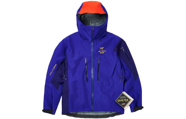 Демисезонная куртка Arcteryx x PALACE - изображение 1