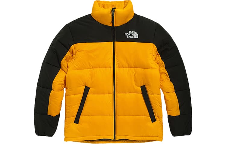 Зимняя куртка пуховик THE NORTH FACE - изображение 1