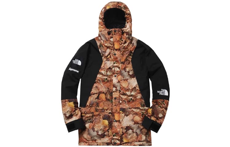 Демисезонная куртка Supreme x The North Face FW16 Leaf Print Jacket Black - изображение 1