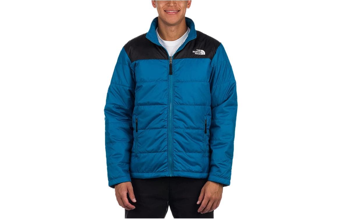 Демисезонная куртка THE NORTH FACE Logo - изображение 1