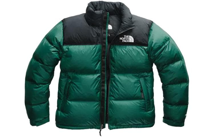 Зимняя куртка THE NORTH FACE 700 - изображение 1