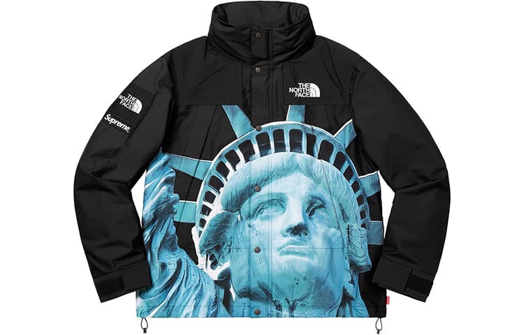 Демисезонная куртка Supreme x The North Face Statue of Liberty Mountain Jacket Black - изображение 1